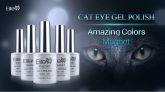 Elite99 Nail 3D UV Gel polonês UV olho de gato